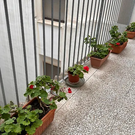 Lejlighed Lux House Gallipoli